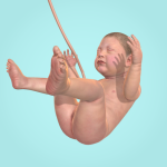 idle-9-months.png